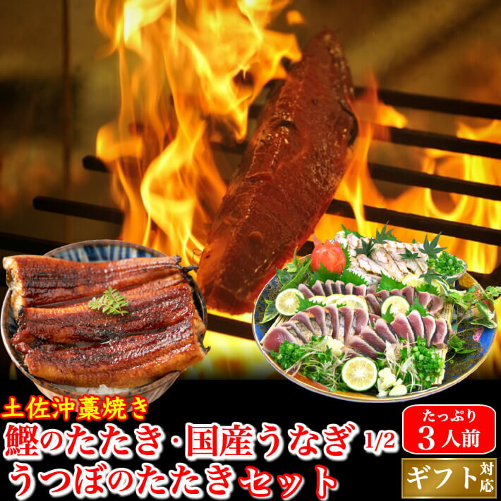 土佐沖 日戻り 藁焼き鰹たたきセット（国産うなぎハー...