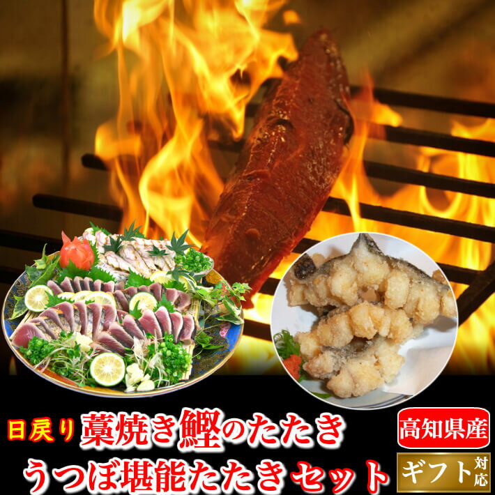 土佐沖 日戻り 藁焼き鰹たたき ウツボ堪能セット（ウツ...