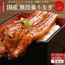 お歳暮 国産 無投薬 うなぎ 蒲焼き 超特大 ハーフカット約120g×3枚 グルテンフリーのたれ 土用の丑 誕生日 プレゼント ギフト 御歳暮 贈答用 お取り寄せ お取り寄せグルメ 送料無料