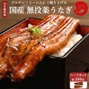 国産 無投薬 うなぎ 蒲焼き 超特大 ハーフカット500g グルテンフリーのたれ 土用の丑 誕生日 プレゼント ギフト 贈答用 お取り寄せ お取り寄せグルメ 送料無料