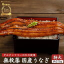 【楽天1位獲得】国産 うなぎ 蒲焼き 特大 約230g〜250g 完全無投薬 グルテンフリー 安心安全 土用の丑 誕生日 プレゼント 母の日 父の日 御中元 ギ...