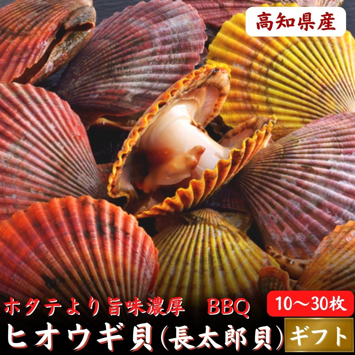 新物　亀の手（カメノテ）【生】　中大サイズ　約500g　【浜坂産】　ペルセベス