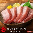 【母の日クーポン半額】本まぐろ 中トロ 高知県産 本マグロ 鮪 プロトン凍結 贈答用 ギフト 誕生日 お取り寄せ グルメ 節分 手巻き 海鮮 寿司 刺身 丼 養...