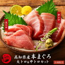 【母の日クーポン半額】本まぐろ 高知県産 大トロ 中トロ 食べ比べセット 本マグロ 鮪 プロトン凍結 贈答用 ギフト 誕生日 お取り寄せ グルメ 海鮮 寿司 刺...