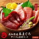 本まぐろ 高知県産 中トロ 赤身 2種食べ比べセット 本マグロ 鮪 プロトン凍結 贈答用 ギフト 誕生日 お取り寄せ グルメ 海鮮 寿司 刺身 丼 養殖 送料無...