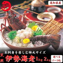 母の日 高知県産 天然 伊勢海老 特大 1kg（選べる1〜3...