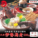 母の日 高知県産 天然 伊勢海老 500g（選べる1〜2尾） ...