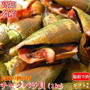 土佐の逸品 チャンバラ貝 （マガキ貝）1kg 高級海鮮珍...