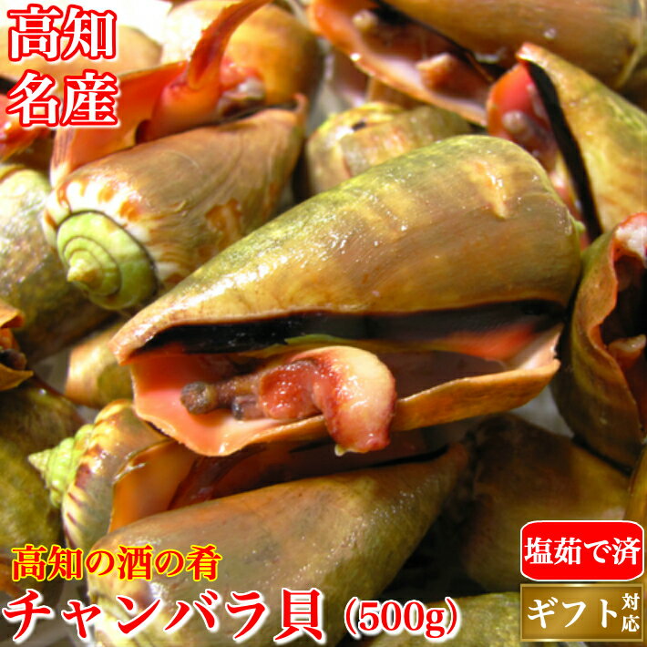 チャンバラ貝 （マガキ貝）500g 高級海鮮珍味 高知特産...