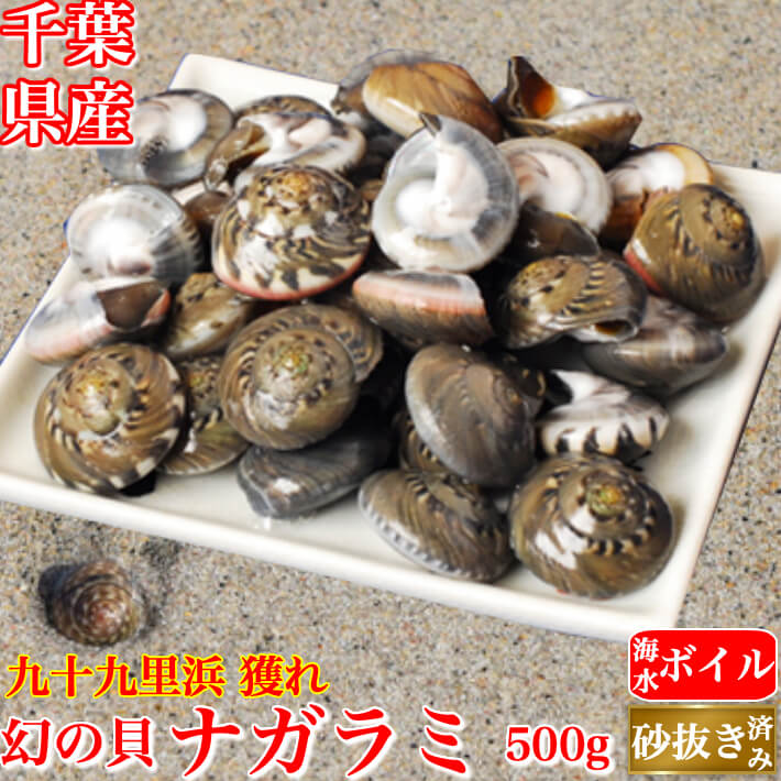 天然 ナガラミ (マイゴ) 500g 同梱用 海水ボイル 砂抜...