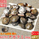 天然 ナガラミ (マイゴ) 500g 海水ボイル 砂抜き 幻の貝 ながらみ 千葉県 九十九里浜産 誕生日 プレゼント 冷凍 酒の…