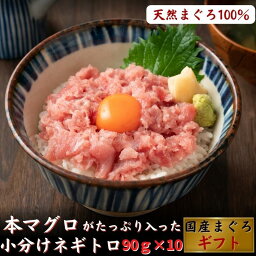 本マグロがたっぷり入ったネギトロ 天然鮪 小分け （90g×10パック） 大トロ 中トロ 誕生日 プレゼント 高級 贈答 ギフト 海鮮 お取り寄せ お取り寄せグルメ 送料無料 あす楽対応