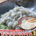 土佐のドロメ のれそれ 晩酌セット お刺身生しらすと穴子の稚魚 100g×各2パック 酒の肴 冷凍便 誕生日 プレゼント ギフト お祝い 海鮮 海産物 お取り寄せ お取り寄せグルメ 送料無料 あす楽対応