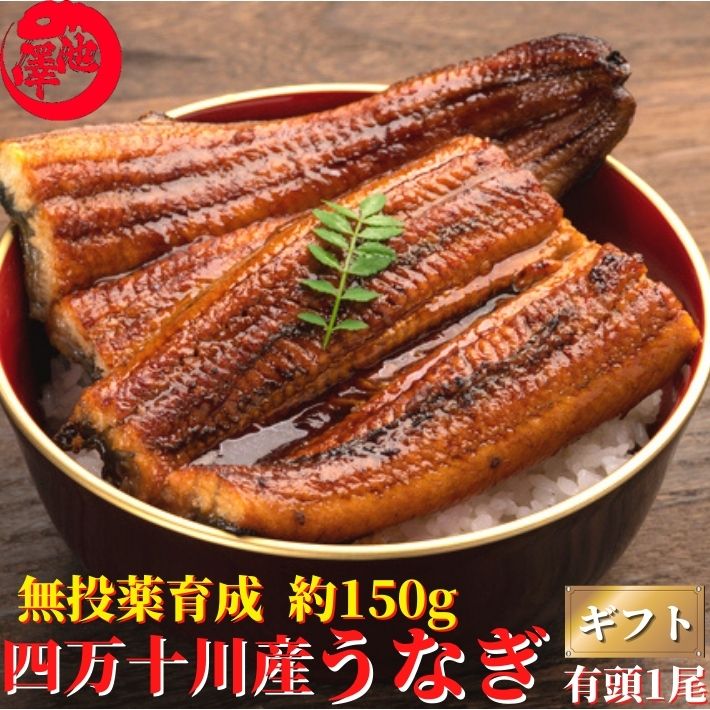 お中元 四万十川産 うなぎ 蒲焼き 無投薬 国産 高知県産 約150g×1本 御中元 土用の丑 誕生日 プレゼント ギフト お祝い 贈答用 お取り寄せ お取り寄せグルメ 送料無料 あす楽対応