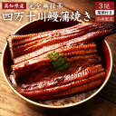 四万十川産 うなぎ 蒲焼き 無投薬 国産 高知県産 3本入り 土用の丑 誕生日 プレゼント 母の日 父の日 御中元 ギフト お祝い 贈答用 お取り寄せ お取り寄...
