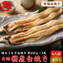 国産 白焼き 特大うなぎ 太化 有頭220-250g×3本 土用の丑 誕生日 プレゼント ギフト お祝い 贈答用 お取り寄せ お取り寄せグルメ 送料無料 最強配送