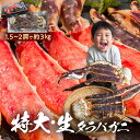 超特大 生タラバ蟹 3kg (10人前以上) 1肩1,5-2kgのキングサイズ オホーツク海厳選 本たらばがに 10L以上の極太足 1肩半-2肩入り 年末年始 ...