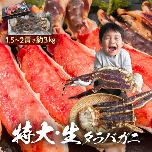 超特大 生タラバ蟹 3kg (10人前以上) 1肩1,5-2kgのキングサイズ オホーツク海厳選 本たらばがに 10L以上の極太足 1肩半-2肩入り 年末年始 海鮮 焼きガニ グルメ ギフト 誕生日 お取り寄せ お取り寄せグルメ 送料無料