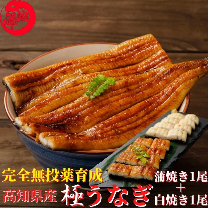 白焼き 父の日 高知県産 うなぎ 紅白 蒲焼き 白焼き 各1尾セット 国産 完全無投薬 仁淀ブルーで育った鰻 秘伝のタレ 仁淀川 土用の丑 御中元 誕生日 プレゼント ギフト お祝い 贈答用 お取り寄せ お取り寄せグルメ 送料無料 あす楽対応