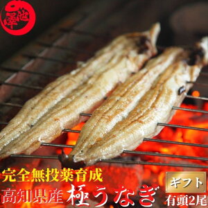 高知県産 うなぎ 白焼き 2尾セット 国産 完全無投薬 仁淀ブルーで育った鰻 仁淀川 土用の丑 誕生日 プレゼント ギフト お祝い 贈答用 お取り寄せ お取り寄せグルメ 送料無料 あす楽対応