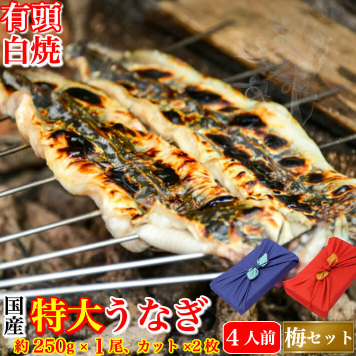 風呂敷ギフト 国産 特大うなぎ 太化 白焼き(梅)セット 長白焼き 220-250g×1本 カット1/3×2枚 土用の丑 内祝 誕生日 …