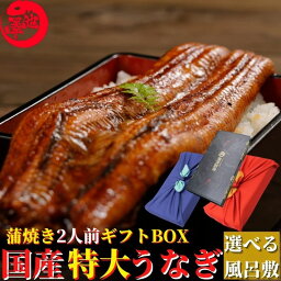 池澤鮮魚 うなぎ 風呂敷ギフト 高知県産 無投薬 特大うなぎ 国産 蒲焼き 200g×1本 仁淀川 土用の丑 誕生日 内祝 プレゼント ギフト お祝い 贈答用 お取り寄せ お取り寄せグルメ 送料無料　あす楽対応