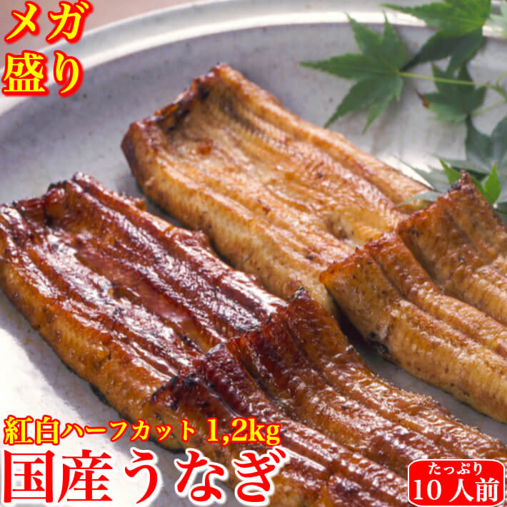 池澤鮮魚 うなぎ 国産 特大うなぎ 太化 蒲焼き 白焼き 紅白食べ比べ メガ盛り ハーフカット1,2kg 土用の丑 誕生日 プレゼント ギフト 贈答用 10人前 お取り寄せ お取り寄せグルメ 送料無料 あす楽対応