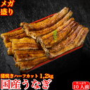 国産 蒲焼き 特大うなぎ 太化 メガ盛り ハーフカット1.2kg 土用の丑 誕生日 プレゼント ギフト 贈答用 10人前以上 お取り寄せ お取り寄せグルメ 送料...