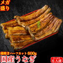 国産 蒲焼き 特大うなぎ 太化 メガ盛り ハーフカット600g 土用の丑 誕生日 プレゼント ギフト 贈答用 6人前以上 お取り寄せ お取り寄せグルメ 送料無料...