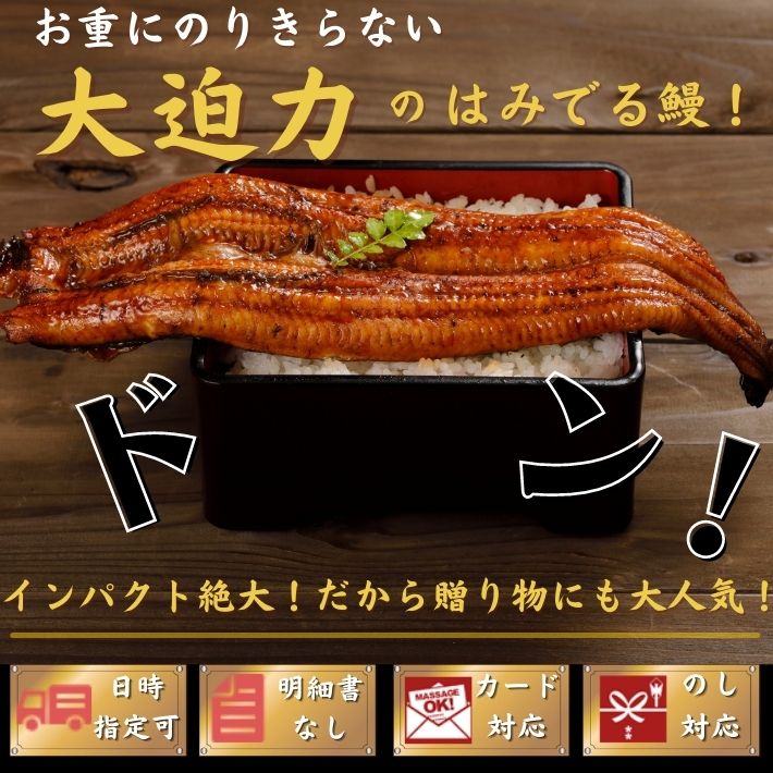 BUONO TAVOLA レストランカレー ＆ 味わい パスタソースセット BCF-EJS 包装 熨斗 のし 無料 【LOI】