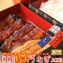 白焼き 母の日 風呂敷ギフト 国産 特大 蒲焼き 白焼き 上紅白食べ比べセット 長焼き 各1本 ハーフカット 各1枚 父の日 土用の丑 内祝 誕生日 プレゼント ギフト お祝い ご贈答用 お取り寄せ お取り寄せグルメ 送料無料