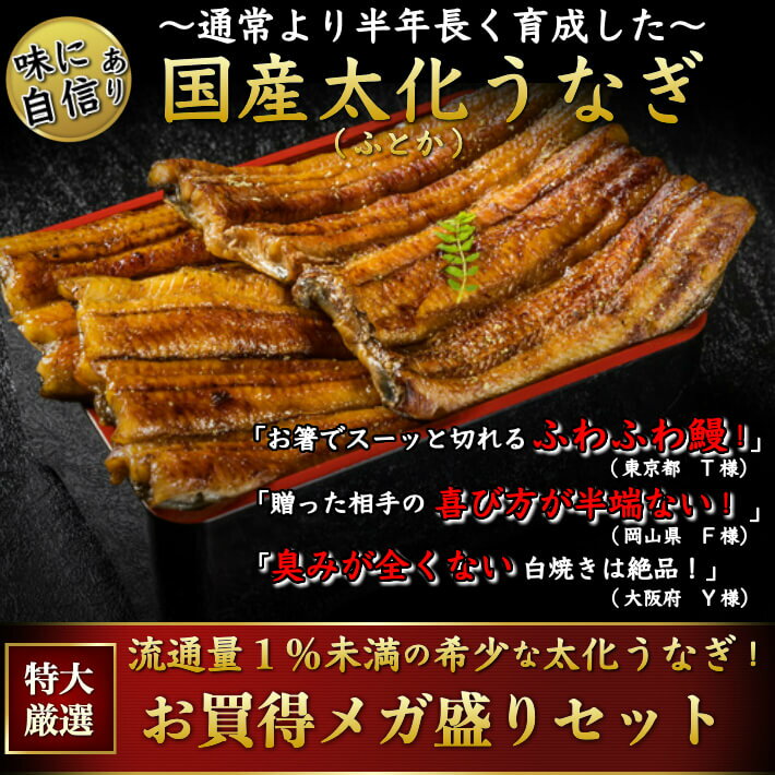 BUONO TAVOLA レストランカレー ＆ 味わい パスタソースセット BCF-EJS 包装 熨斗 のし 無料 【LOI】