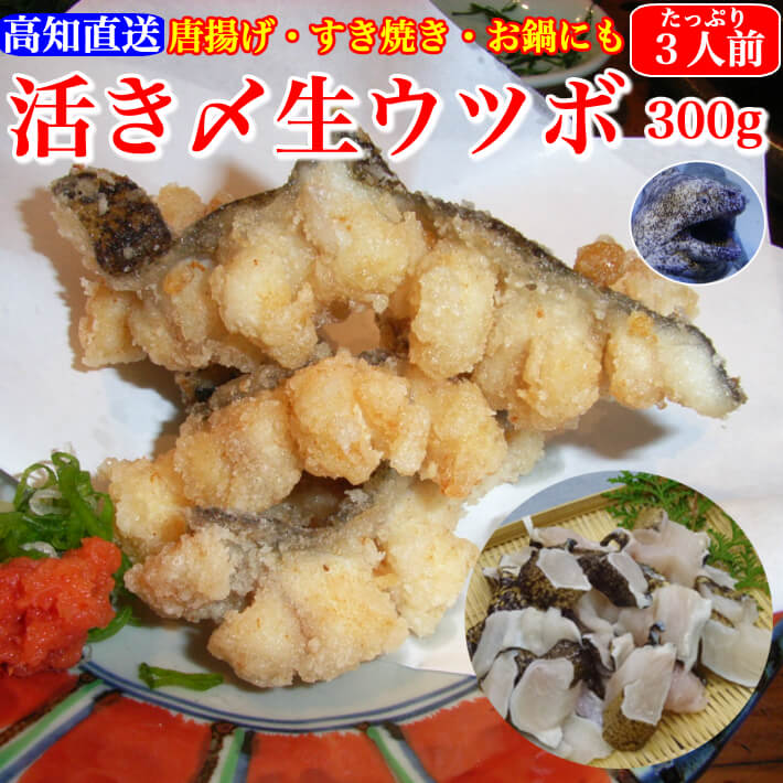 海鮮 珍味 活き〆 生ウツボカット（うつぼの唐揚げ、天...