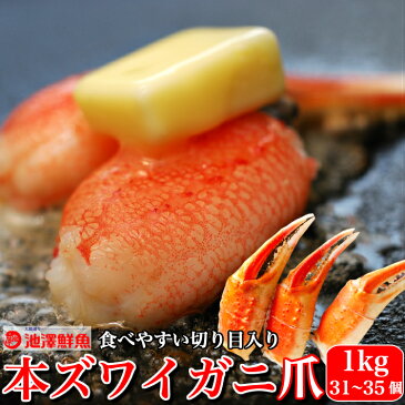 本ズワイガニ かに爪 1kg 切れ目入 ボイルずわい 蟹爪 約31-35個入り 秘伝のタレ 海鮮 グルメ お取り寄せ お誕生日 ギフト 送料無料