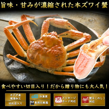 本ズワイガニ かに爪 1kg 切れ目入 ボイルずわい 蟹爪 約31-35個入り 秘伝のタレ 海鮮 グルメ お取り寄せ お誕生日 ギフト 送料無料