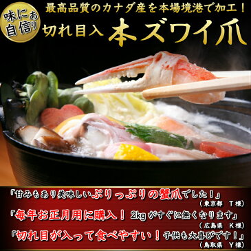 本ズワイガニ かに爪 1kg 切れ目入 ボイルずわい 蟹爪 約31-35個入り 秘伝のタレ 海鮮 グルメ お取り寄せ お誕生日 ギフト 送料無料