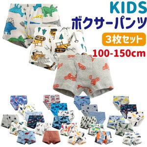 【5/5 20時～4時間限定10%OFF】 パンツ キッズ 子供 福袋 3枚セット 下着 ボクサーパンツ 3枚組 男の子 男児 ボーイズ BOYS ボクサー ブリーフ インナー 綿100% コットン 前あき 恐竜 車