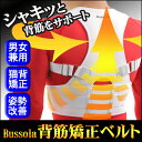 【送料無料】姿勢矯正ベルト 体の歪み矯正 猫背解消　シャキッとしっかり背筋を伸ばせる ウエストベルト付き 矯正ベルト 背筋 サポーター 姿勢ベルト 背筋ベルト 男女兼用 ホワイト