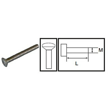 丸皿頭小ネジ(SUS304)M5×L60