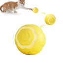 猫おもちゃ 電動ボール 自動 電動おもちゃ 360度自動回転ボール 寂しさ解消/運動不足対策 USB充電セット付き 室内飼いの猫ちゃんも大喜び 知育玩具 猫の遊び 猫 動く玩具 猫じゃらし