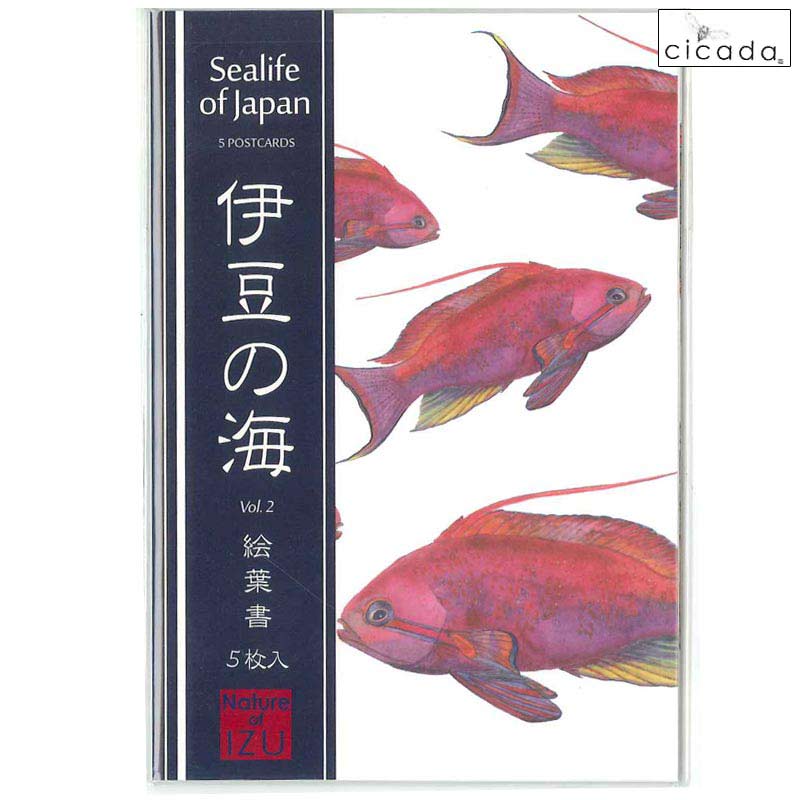 楽天伊豆下田海の目の前 白浜マリーナ【1日（土）は店内P5倍! クーポン有】 cicada シカダ 5枚入り絵葉書 伊豆の海 Vol.2 Sealife of Japan ポストカード ハタタテハゼ キンギョハナダイ ハナミノカサゴ ユカタハタ ヒブダイ ラッセル ウィルス Russel Willis