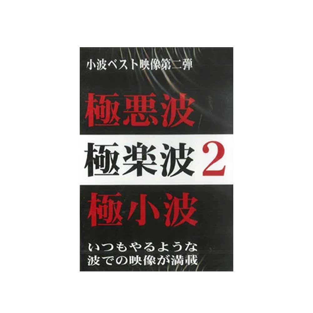 【9日20時～マラソンP最大31倍クーポン有】 極楽波2 サーフィンDVD