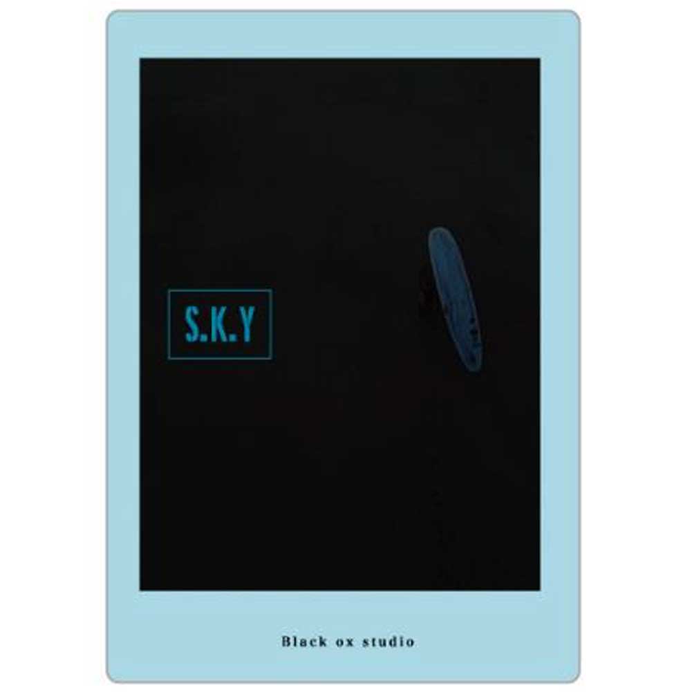 【ブラックフライデー 全商品 P最大25倍】 S.K.Y スカイ by Black Ox studio ロングボード サーフィンDVD*1.08