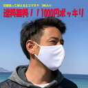 楽天伊豆下田海の目の前 白浜マリーナ【30日はエントリーでP最大21倍！クーポン有】 1000円ポッキリ 送料無料 マスク 洗える ナノコーティング抗菌マスク 3枚入り 男性用 女性用 大人用 白 ホワイト ハイクオリティ 耐水アウター エコマスク 大きめ おススメ 人気 大人マスク シンプル オシャレ 不織布