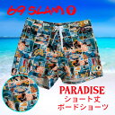 【マラソン P31倍 クーポンあり】 69slam サーフパンツ ボードショーツ メンズ ショート丈 PARADISE SSAPDS-PM 4方向 ストレッチ 柄パン 派手 ロックスラム 海水浴 海パン 水着 海水パンツ サーフショーツ ハーフパンツ 日光浴 マリンスポーツ プール ビーチ 海