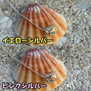 【マラソン P最大32倍 クーポンあり】 ハワイアンジュエリー ペンダント シルバーバレル ネックレス ボールチェーン付き 箱入り アクセサリー Hawaiian Jewelry レディース クリスマス ギフト 贈答品 誕生日 記念日 プレゼント かわいい Silver925