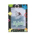 【4/4(木)20時～店内エントリー最大P10倍！】 Hybrid ハイブリッド サーフィンDVD