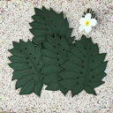 【30日 全商品P2倍 クーポンあり】 モンステラコースター4枚セット ハワイアンキルト Hawaiian Quilt キッチングッズ ハワイアン雑貨 インテリア