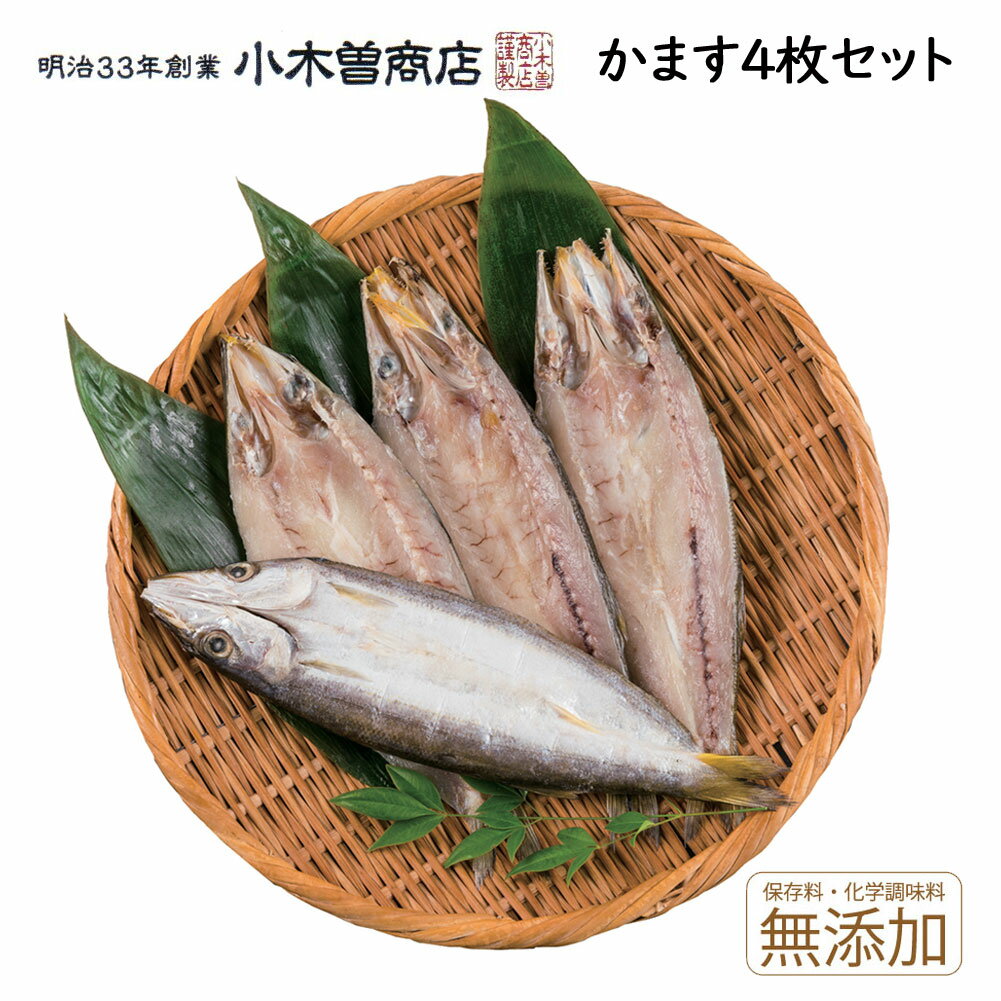 【15日(火)P最大20倍!クーポン有】 【代引き不可】干物セット かます ひもの4枚セット 伊豆 下田 名産 小木曽商店 カマス 無添加 お取り寄せ 魚 静岡 グルメ ギフト 特産品 お土産 地場産品 母の日 父の日 敬老の日 お中元 御中元 御歳暮 ギフト おススメ 残暑