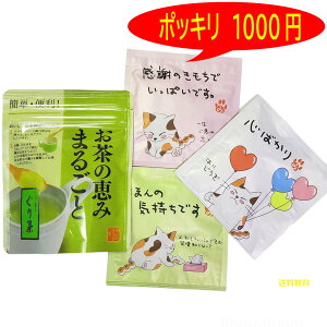 【GW期間中も毎日発送】 ポッキリ 1000円 お茶の恵み まるごと40g 絵手紙一煎 1パック みたらしちゃん メッセージアソート 玉緑茶 市川製茶 伊豆 静岡県 東部 グリグリ 玉露 お茶 緑茶 コク 甘さ まろやか 深蒸 お土産 茶 1000円 簡単 粉末 会議